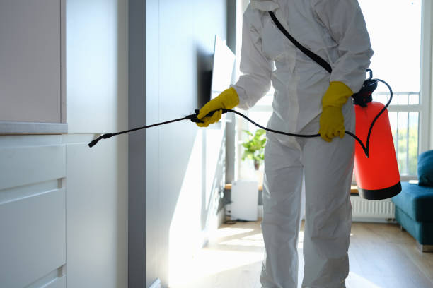Best Localized Mold Remediation (e.g., coastal areas, humid climates) in Hoer, OK