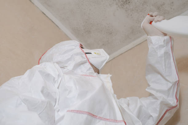 Best Kitchen Mold Remediation in Hoer, OK