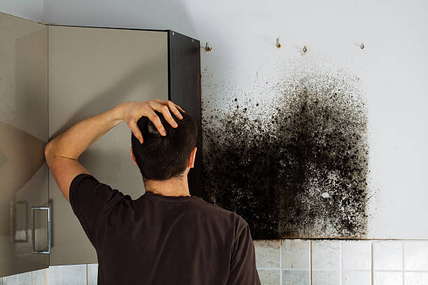  Hoer, OK Mold Removal Pros